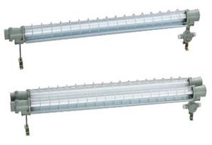 Ex proof fluorescent lamp
