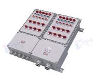 Ex power distribution box