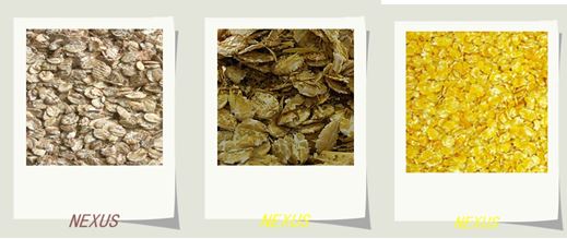 Barley and corn flakes