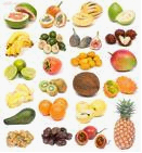 Fruit