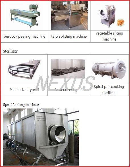 Sterilizing machine