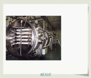 Belt type vacuum drier