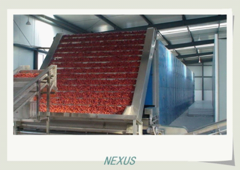 Multi-layer belt drier 1