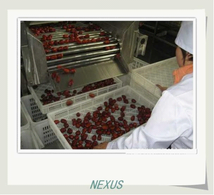 Roll bar grading machine 2