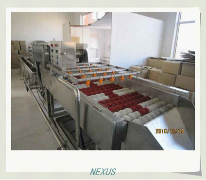 Brush roll washing machine 1